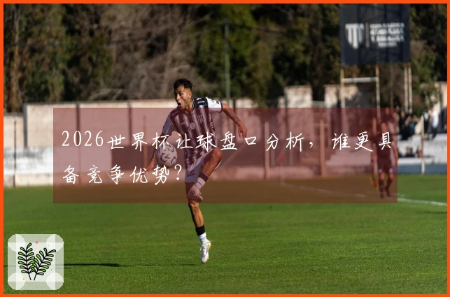2026世界杯让球盘口分析，谁更具备竞争优势？