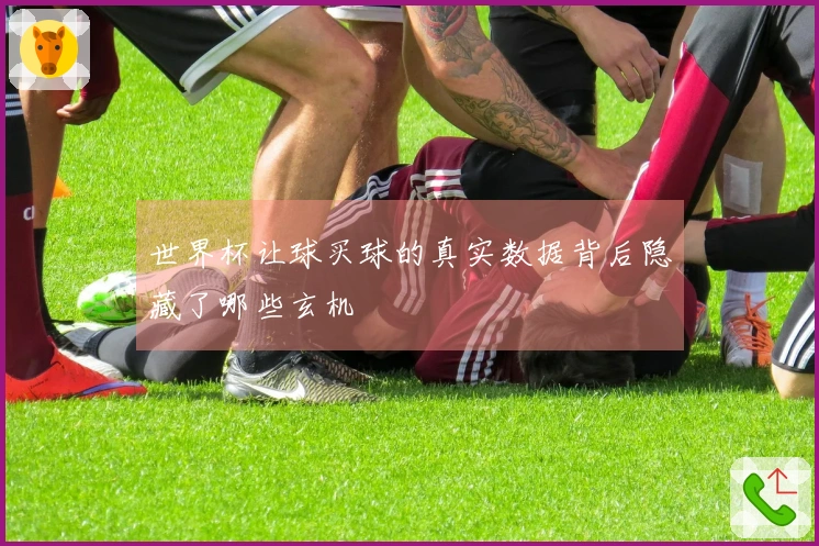世界杯让球买球的真实数据背后隐藏了哪些玄机