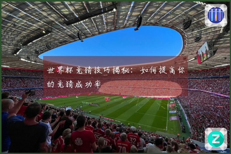 世界杯竞猜技巧揭秘：如何提高你的竞猜成功率