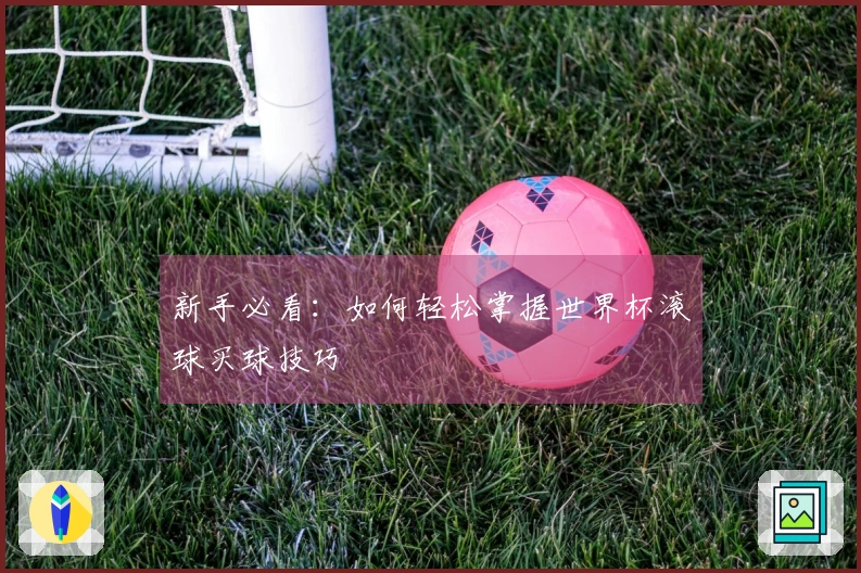 新手必看：如何轻松掌握世界杯滚球买球技巧