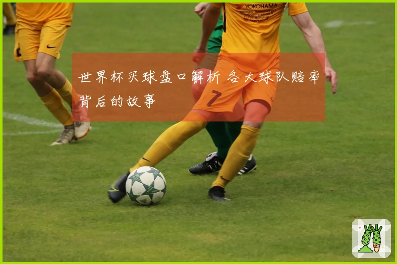 世界杯买球盘口解析 各大球队赔率背后的故事