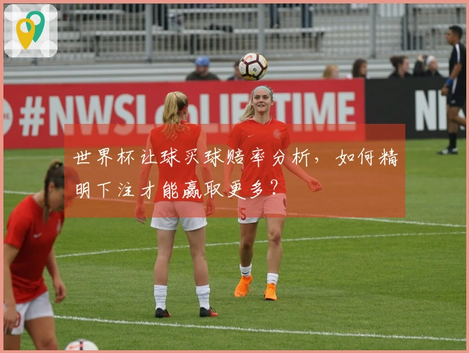 世界杯让球买球赔率分析，如何精明下注才能赢取更多？
