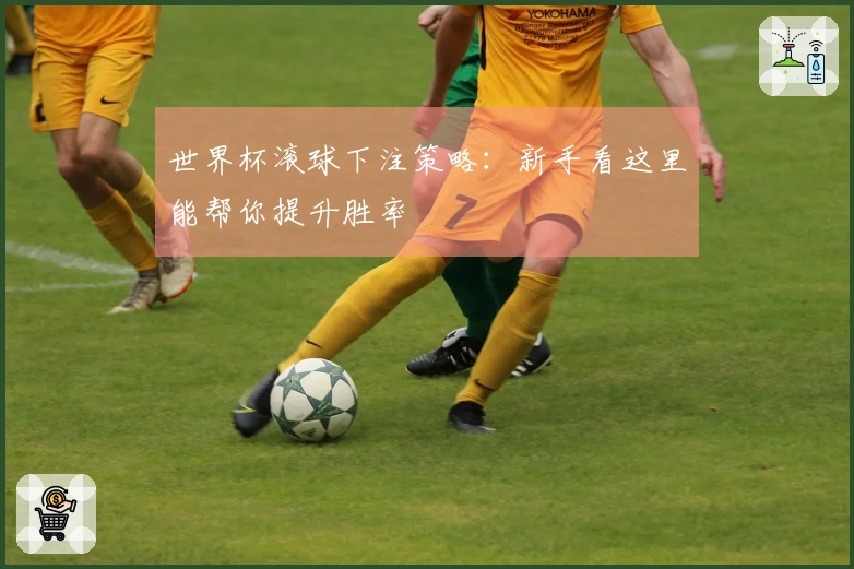 世界杯滚球下注策略：新手看这里能帮你提升胜率