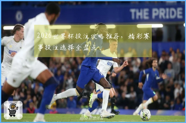 2026世界杯投注攻略推荐，精彩赛事投注选择全盘点
