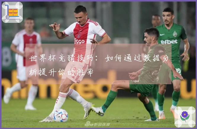 世界杯竞猜技巧：如何通过数据分析提升你的胜率